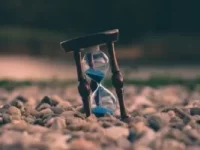 asta asincrona telematica