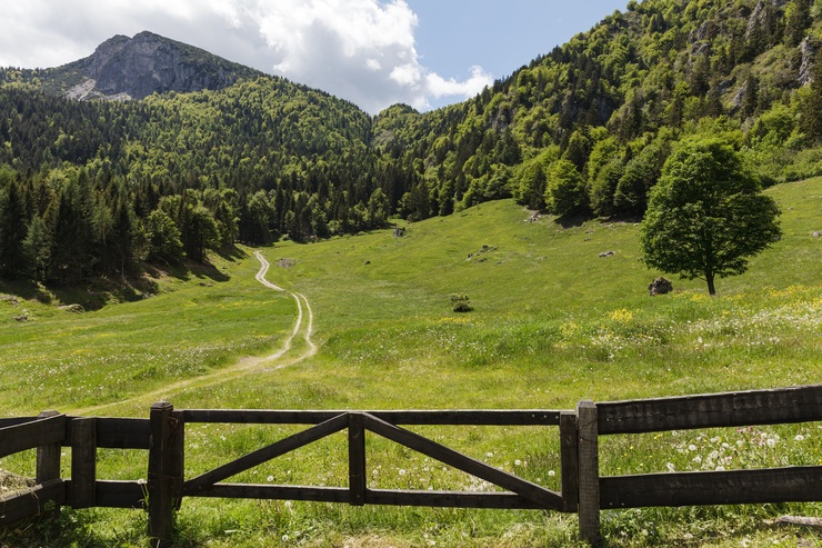 Colline di Trento
