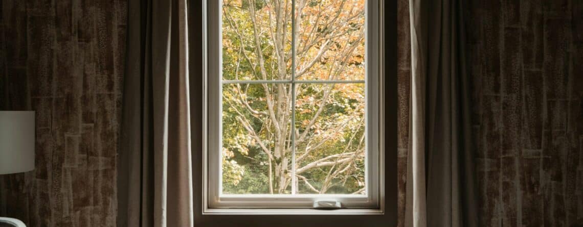 A window looking out onto autumn trees with orange and green leaves