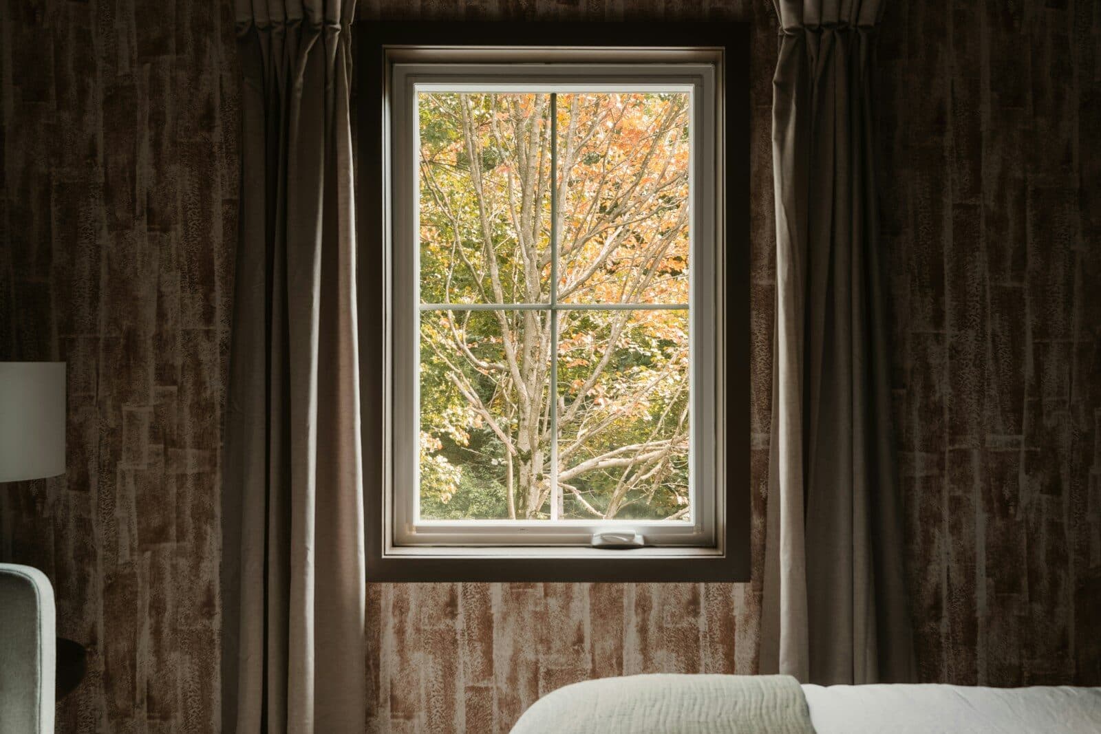 A window looking out onto autumn trees with orange and green leaves